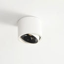 Round Downlight Cylinder Ceiling Light