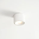 Round Downlight Cylinder Ceiling Light