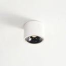Round Downlight Cylinder Ceiling Light