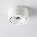 Matte Cylinder Ceiling Spot Light