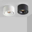 Matte Cylinder Ceiling Spot Light