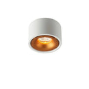 Matte Cylinder Ceiling Spot Light