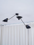 Modern Multi-Arm Adjustable Metal Ceiling Light Fixture