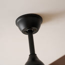 Carved Wood Blade Fan Light