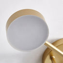 Gold Multi-Arm Sputnik LED Ceiling Light