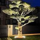 Modern Outdoor Uplight Ring Light