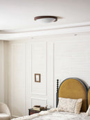 Minimalist Curved Edge Ceiling Light