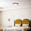 Minimalist Curved Edge Ceiling Light