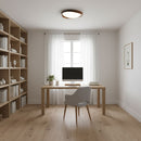 Minimalist Curved Edge Ceiling Light