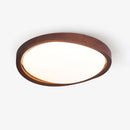 Minimalist Curved Edge Ceiling Light