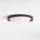 Minimalist Curved Edge Ceiling Light