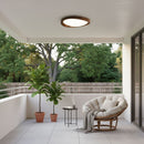 Minimalist Curved Edge Ceiling Light