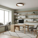 Minimalist Curved Edge Ceiling Light