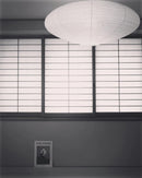 Rice Paper Swag Pendant Light