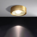 Flush Cylinder Spot Downlight
