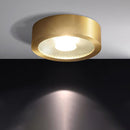 Flush Cylinder Spot Downlight