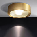Flush Cylinder Spot Downlight