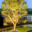 LED Landscape Arc Ring Light