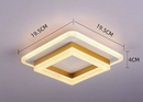 Dual Geometric LED Ceiling Light
