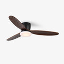 Wing Span Fan Light