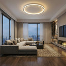 Scandinavian Halo Round Ceiling Light