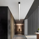 Minimalist Linear Ceiling Light