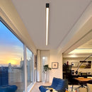 Minimalist Linear Ceiling Light