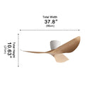 Curved Wing 3-Blade Ceiling Fan