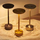 Modern USB-C Dimmable LED Table Lamp with 3 Color Modes