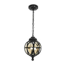 Metal Cage Glass Globe Pendant