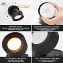 Adjustable Spotlight Outdoor Wall Sconce