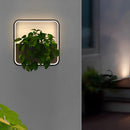 Illuminated Planter Outdoor Wall Light