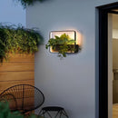 Illuminated Planter Outdoor Wall Light