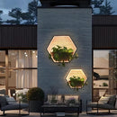 Illuminated Planter Outdoor Wall Light