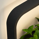 Illuminated Planter Outdoor Wall Light