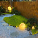 Moon Globe Outdoor Light