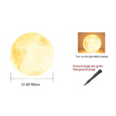 Moon Globe Outdoor Light