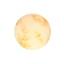Moon Globe Outdoor Light