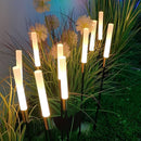 Cluster Rod Pathway Lights