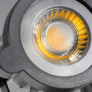 Outdoor Solar Landscape Spotlight Set